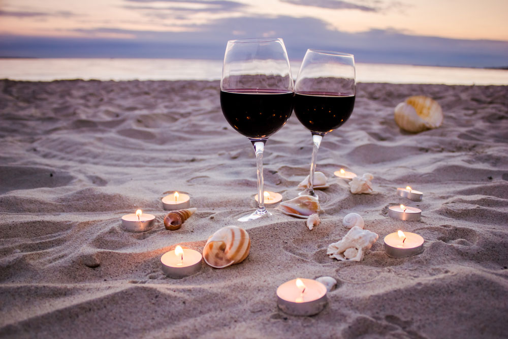 Wines For A Day At The Beach From The Vine