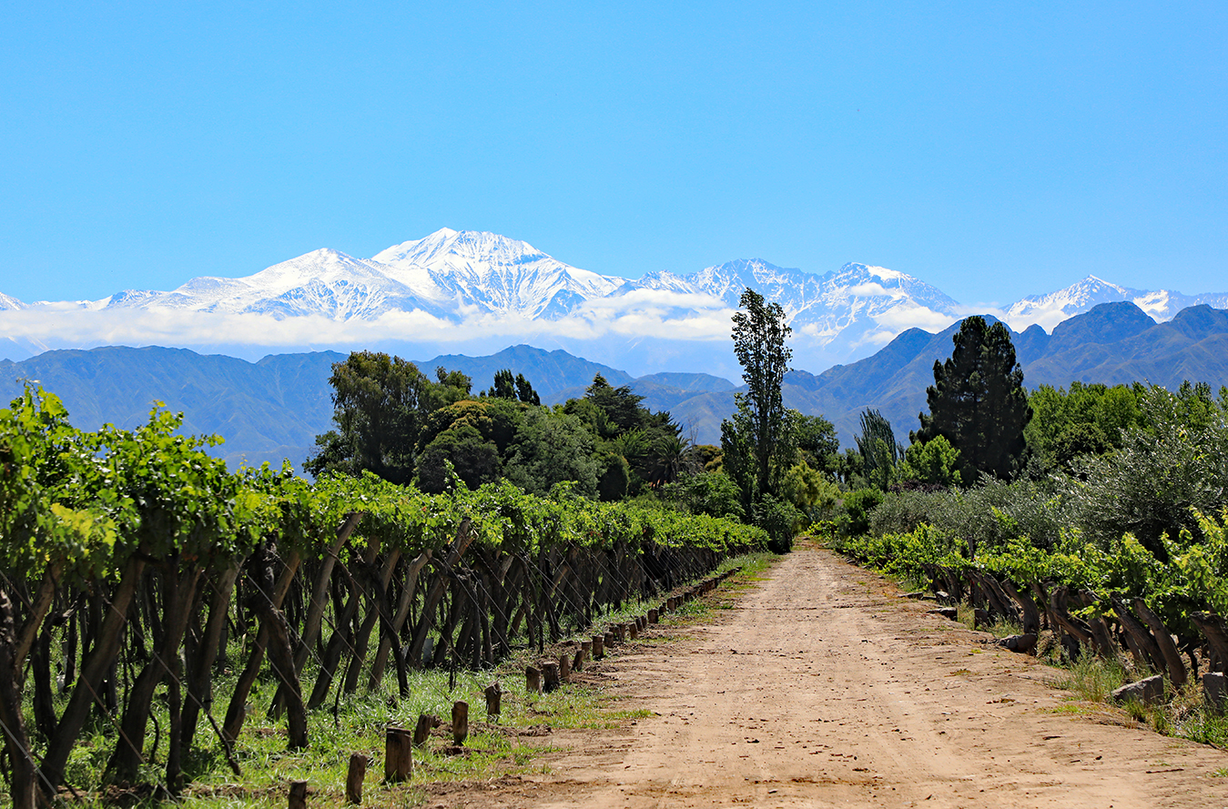 Argentina's Wine Regions