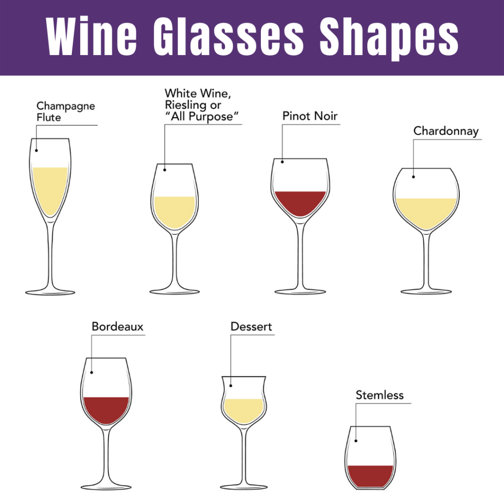 A Comprehensive Guide To Different Types Of Wine Glasses From The Vine 0910
