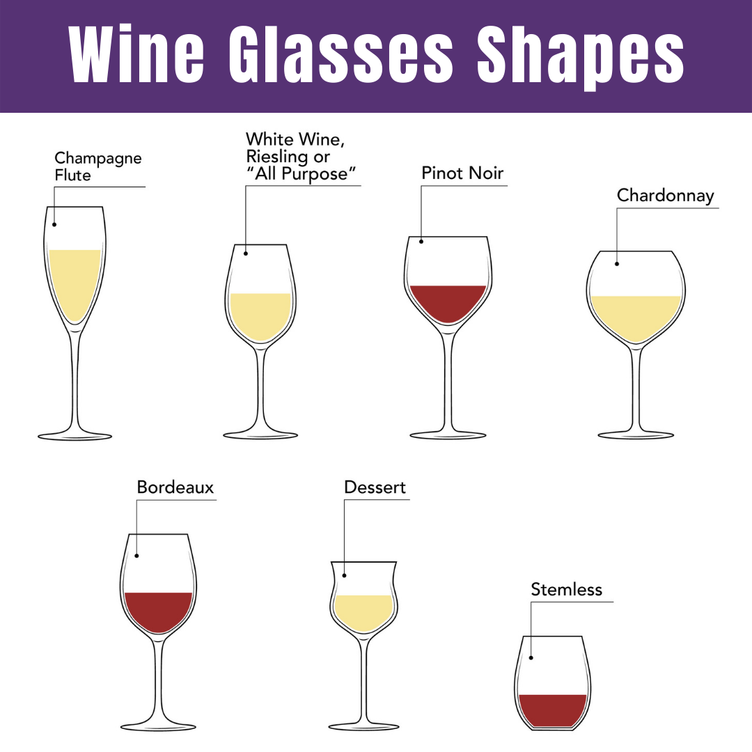 A Comprehensive Guide To Different Types Of Wine Glasses From The Vine