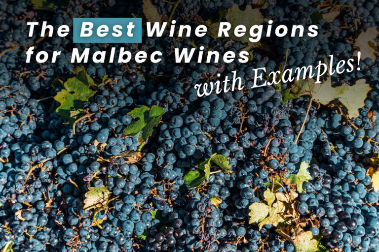 The Best Wine Regions For Malbec Wines (with WTSO Examples) - From The Vine