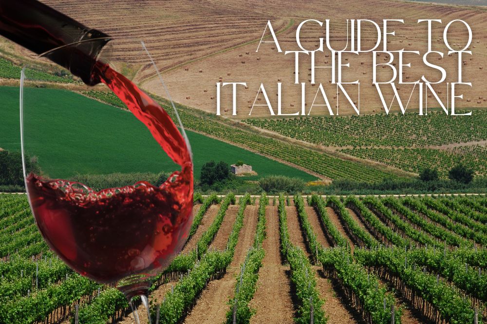 Best Italian Wines Guide